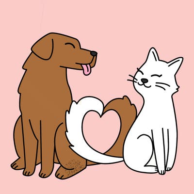 animals_22