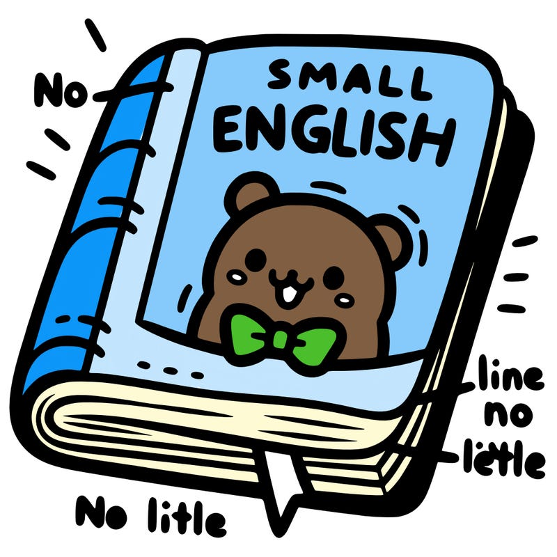 a small english book