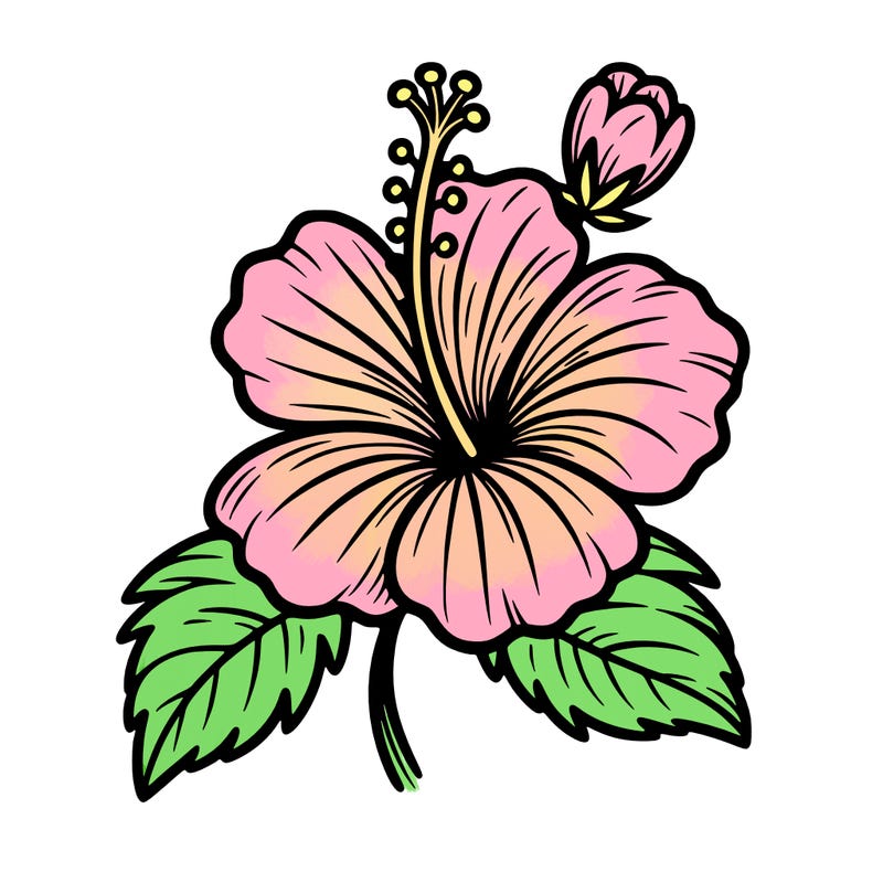 hibiscus flower