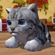 Cute Pocket Cat 3D