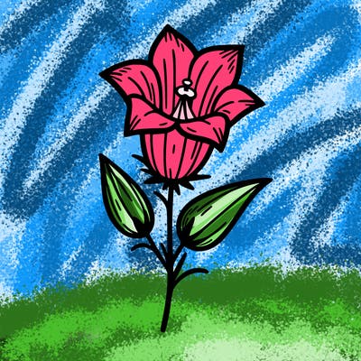 bellflower flower