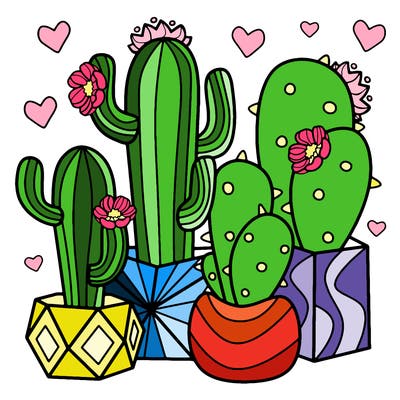 flowers_24_new