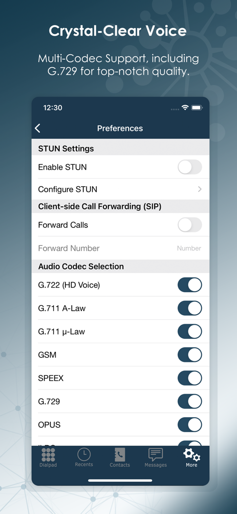 Skylar Enterprise - Audio codec selection settings in the Skylar Enterprise app preferences menu.