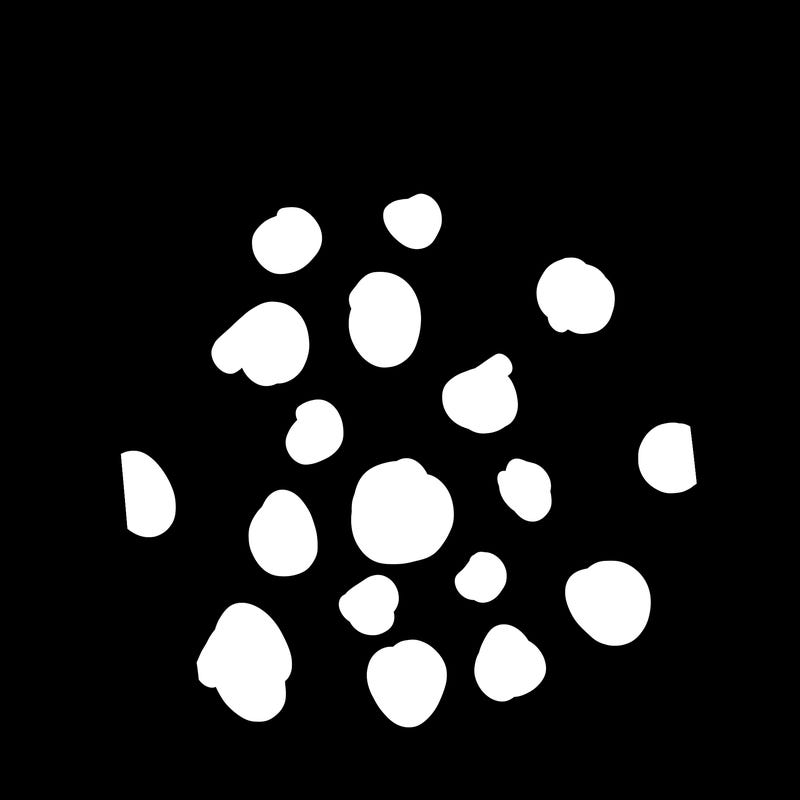 blank white page with nothing drawn on it