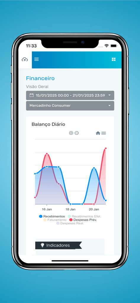 Consumer Connect mobile app financial dashboard showing daily balance graph and business analytics