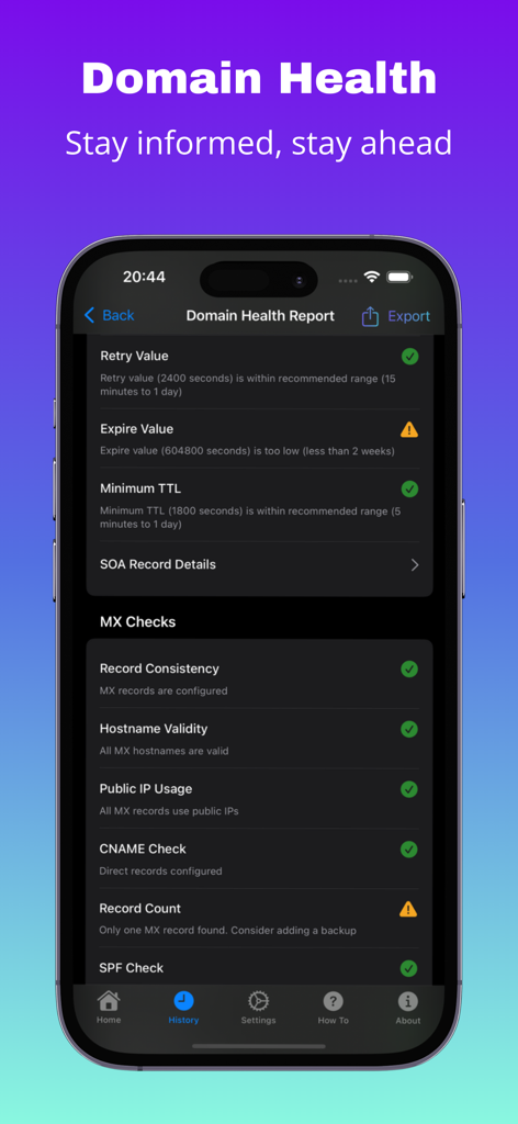 Tela do aplicativo Saúde do Domínio mostrando auditoria de DNS e verificações de registro MX.