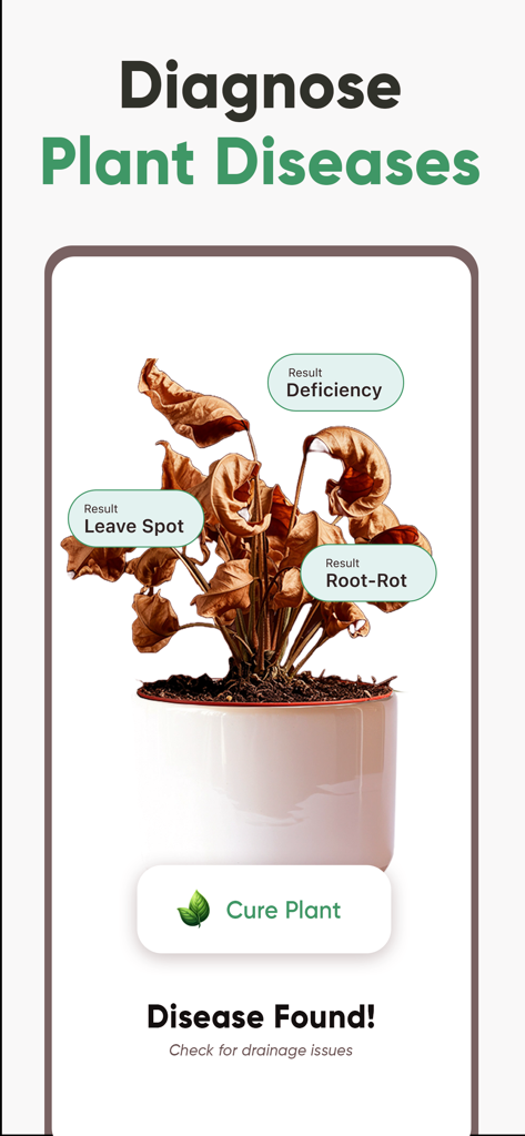 Plant ID: Plant Identifier AI - Oberfläche des KI-Pflanzenkrankheitsdiagnosetools mit einer welken Pflanze und Ergebnissen für Wurzelfäule und Blattflecken.