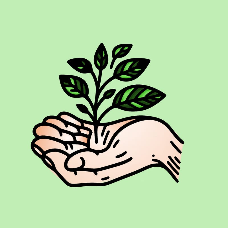 hand with plant
