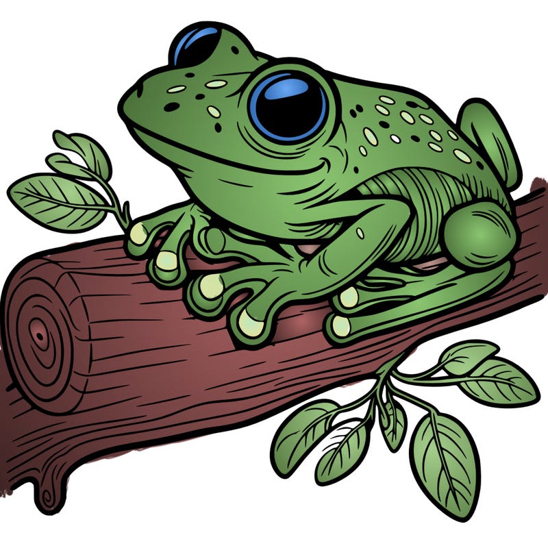 tree frog