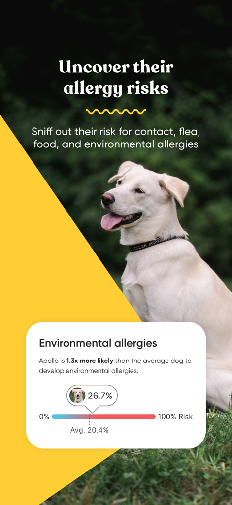 Embark Vet app screen showing a dog's genetic risk for environmental allergies with a percentage scale