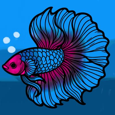 betta fish