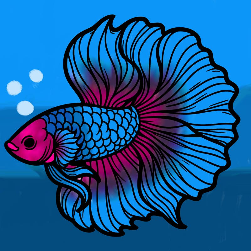 betta fish