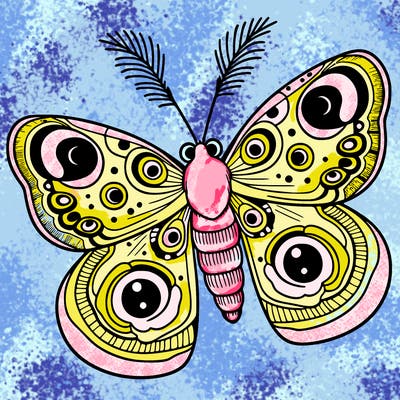 peacock moth butterfly