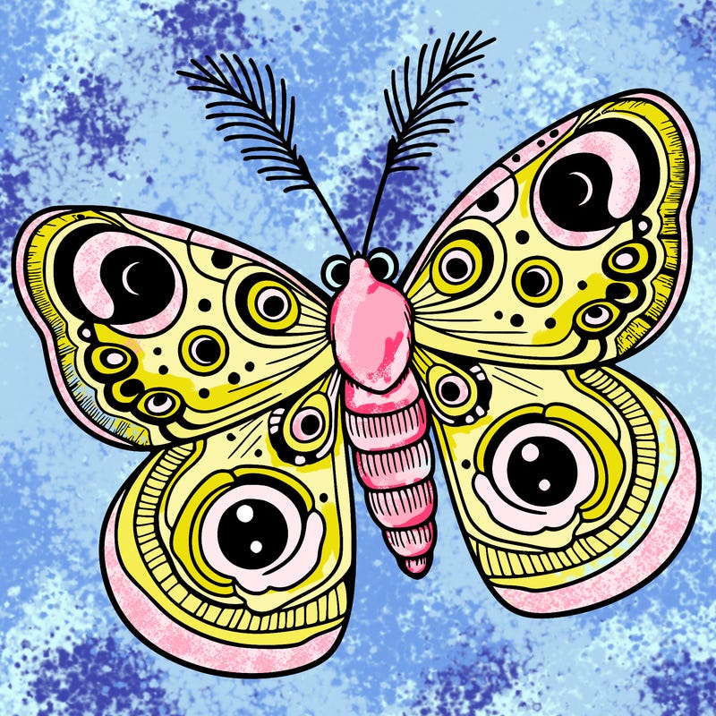 peacock moth butterfly