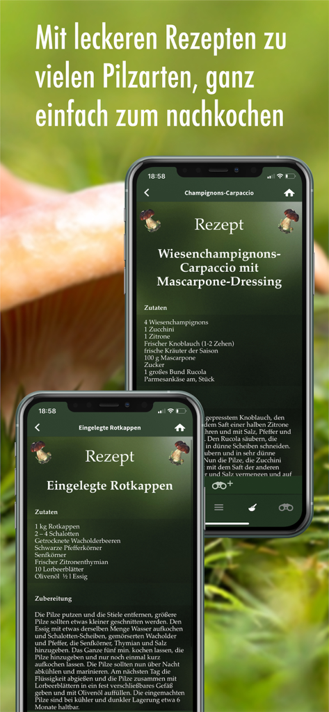 Capture d'écran de l'application Pilzfuehrer Schweiz présentant des recettes gastronomiques à base de champignons pour les cueilleurs.