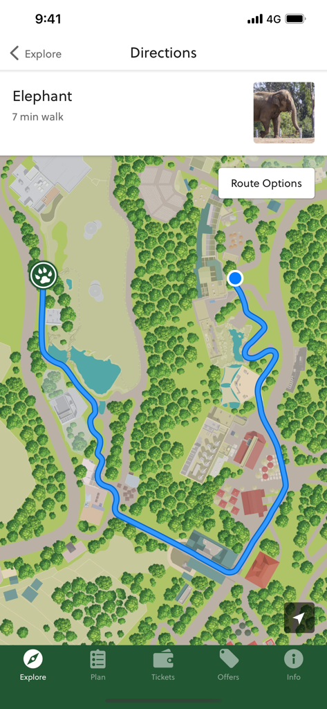 San Diego Zoo - Travel Guide - GPS navigation on the San Diego Zoo app showing a walking path to the elephant exhibit