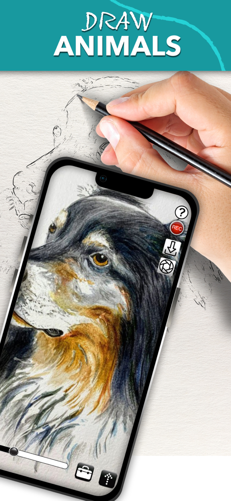 A person using the Camera Lucida app on an iPhone to draw a detailed dog portrait on paper using an AR overlay