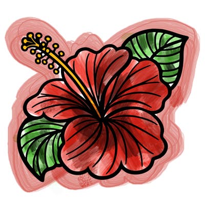 hibiscus flower