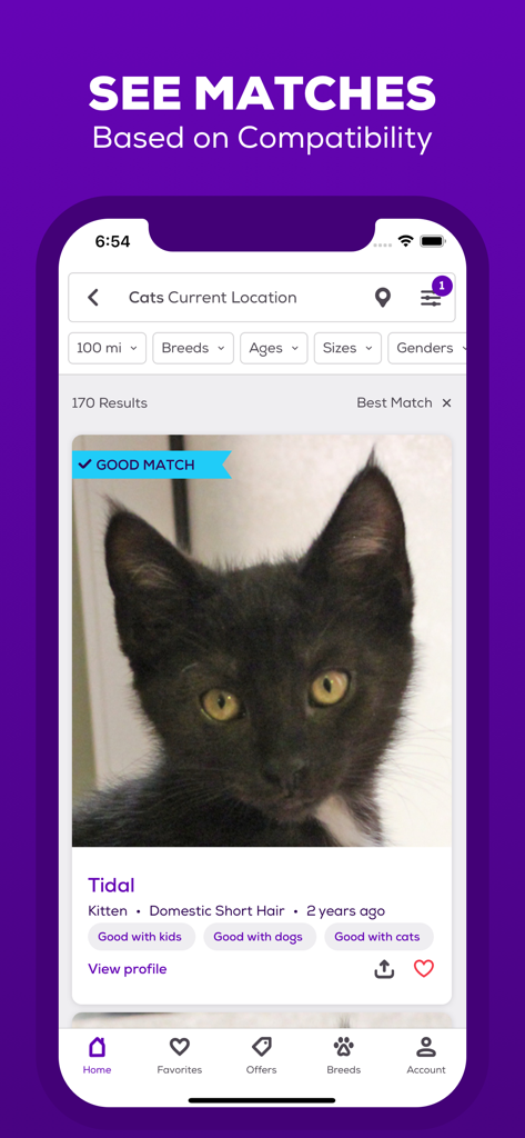 Petfinder - Adopt a Pet - Petfinder mobile app screen showing a kitten profile with pet adoption search filters and compatibility tags.