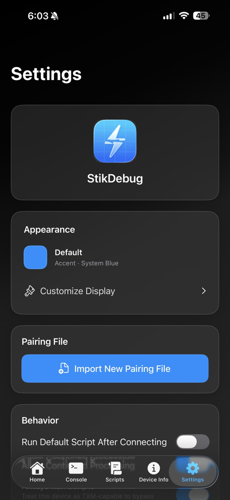 StikDebug - 설정 모양 및 페어링 파일 구성 옵션을 보여주는 StikDebug 앱의 설정 화면