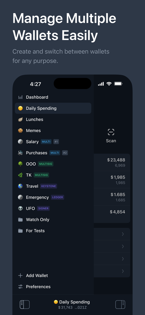 Tonkeeper Pro — Crypto Wallet - Tonkeeper Pro app interface showcasing the ability to create and switch between multiple crypto wallets for different purposes.