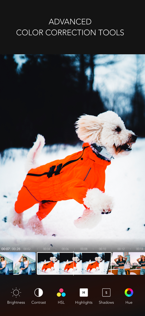 MOLDIV VideoLab app interface showing advanced color correction tools like brightness contrast and HSL for video editing