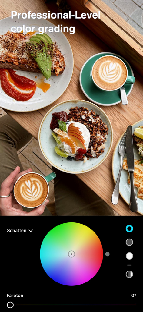 Fine Photo Editor 앱 인터페이스는 음식 플랫 레이 사진에 대한 색상 휠로 전문가 수준의 색상 보정을 보여줍니다.