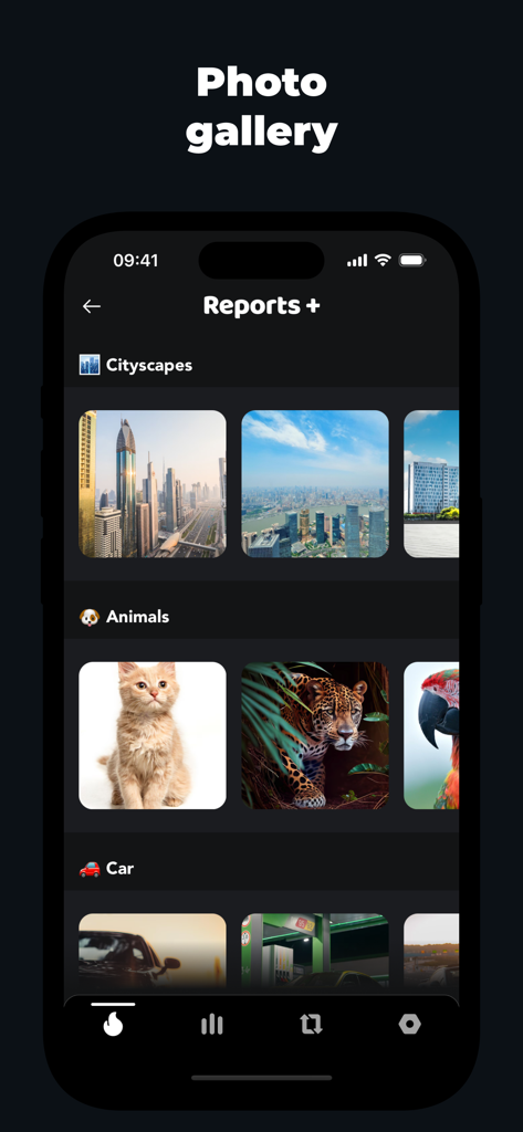 Gramly - Interfaz de la aplicación Gramly que muestra una galería de fotos con imágenes categorizadas como paisajes urbanos y animales para la creación de contenido en redes sociales