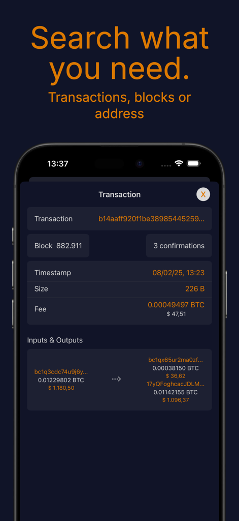 Bitcoin Blockchain Explorer - Schermata dei dettagli della transazione Bitcoin che mostra le conferme del blocco e le commissioni di rete