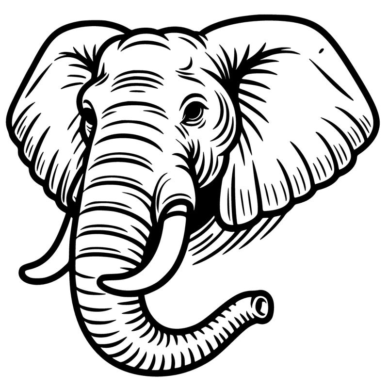 african elephant head