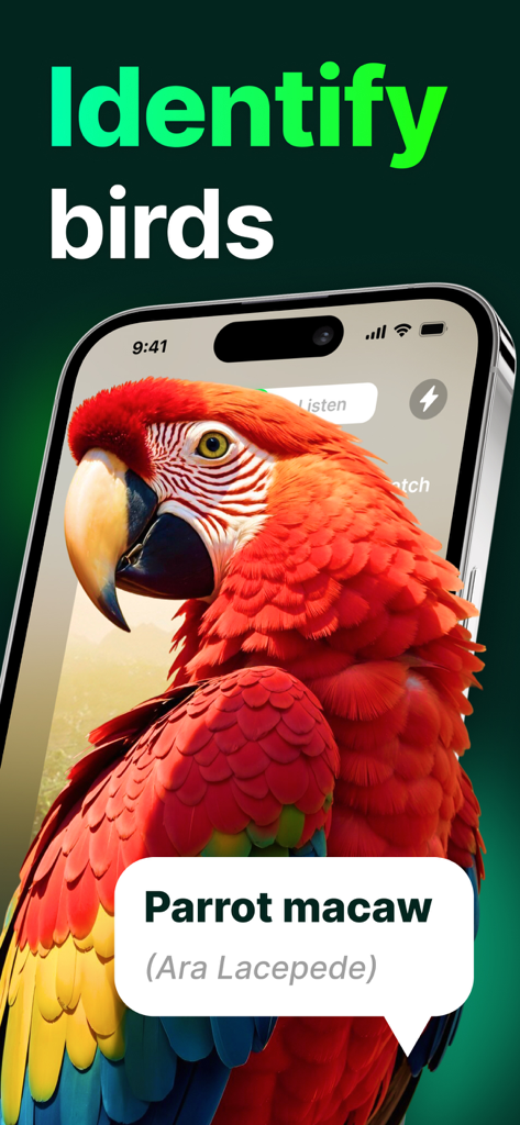 Bird identification app interface showing a red macaw parrot with the species name in a text bubble