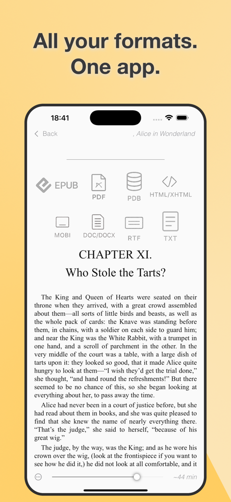handyREADER: Audiobook & eBook - Interfaz de la aplicación móvil handyREADER que muestra una amplia gama de formatos de archivo de libros electrónicos compatibles como EPUB PDF y MOBI
