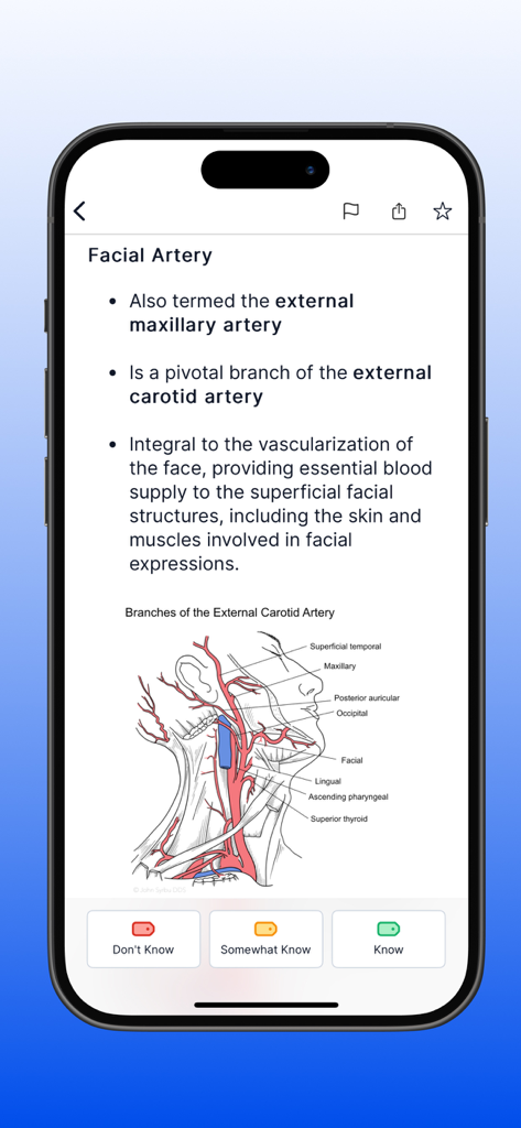 A study card on the facial artery anatomy in the Dental Boards Mastery app.