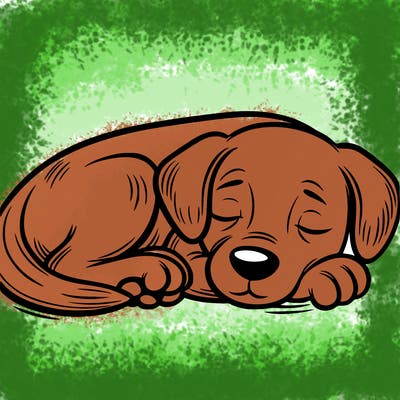 a dog sleeping