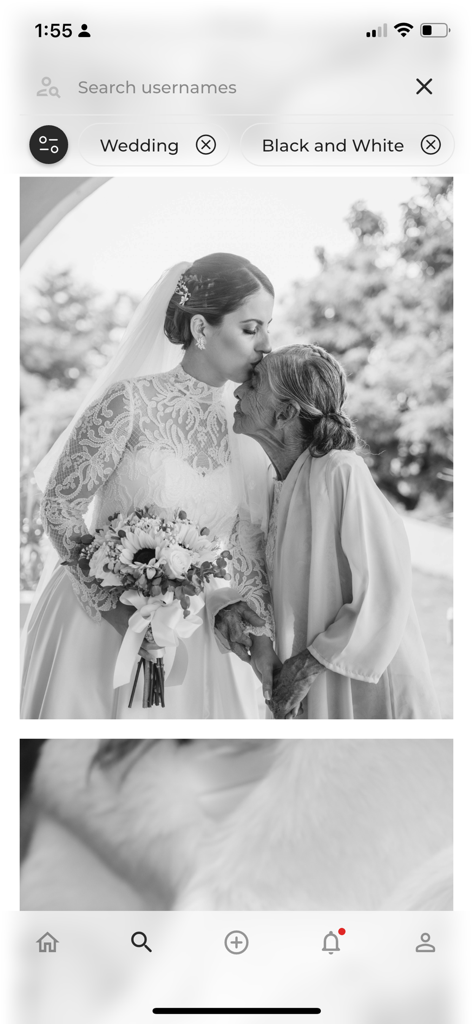 Foto Inc - A black and white wedding photograph of a bride kissing an elderly woman on the forehead displayed in the Foto Inc search results.