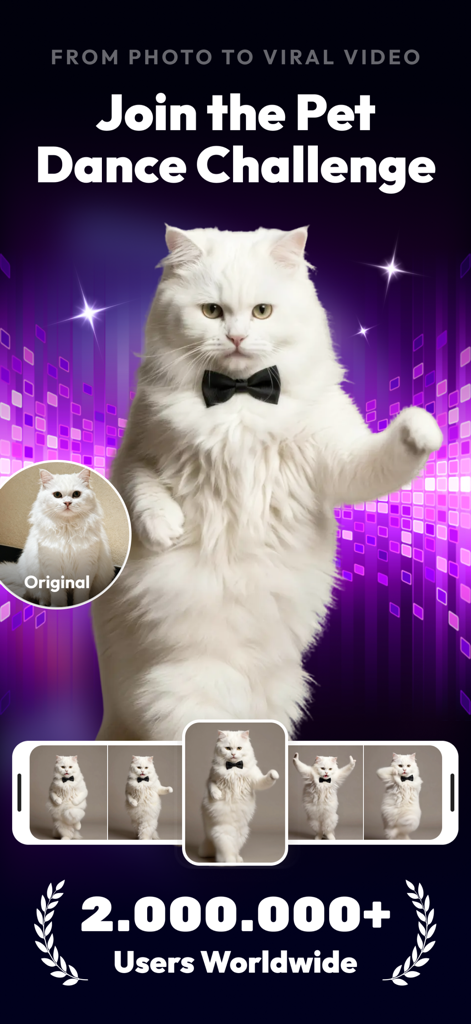 vivago.ai-AI Video&Effects - Vivago AI app Pet Dance Challenge featuring a white cat dancing with a bowtie against a purple disco background