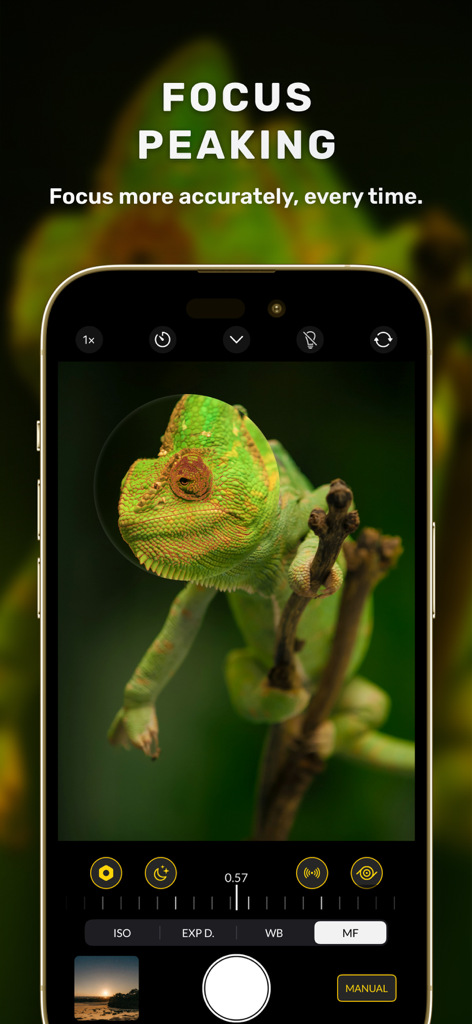 Nightcam app interface showing manual focus peaking on a green chameleon