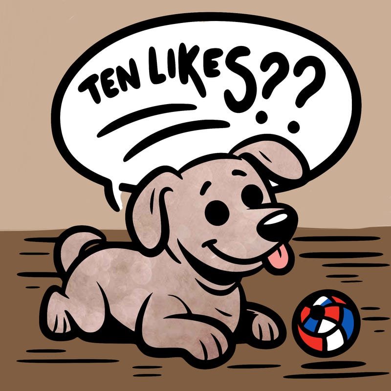 dog saying “ten likes?!” while playing fetch