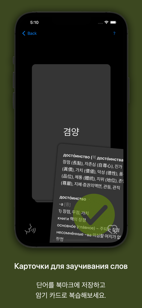 Interfaz de la aplicación KoRusDic Pro con tarjetas de vocabulario en coreano y ruso para el estudio.