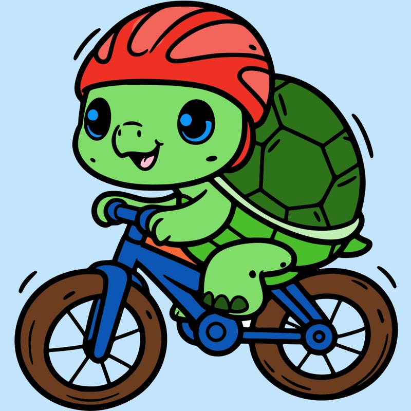 turtle on a bike