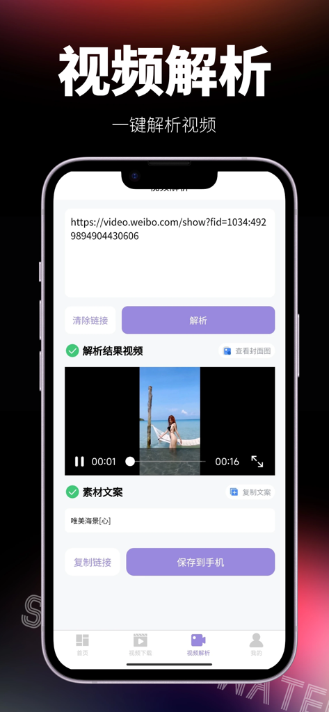 Lightning Watermark app interface demonstrating the one-click video parsing and extraction feature