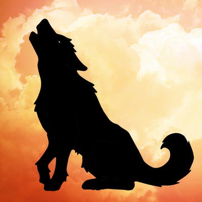 animals_36
