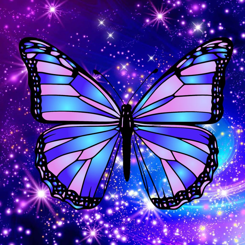 butterfly