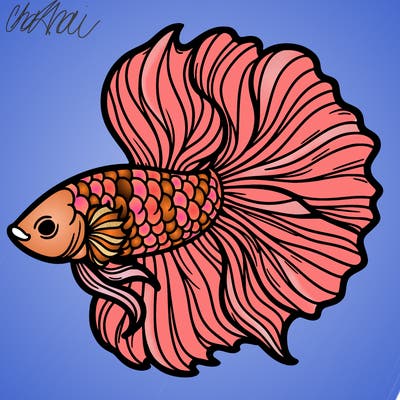 betta fish
