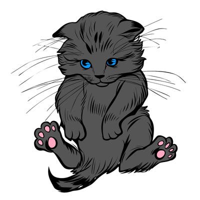animals_20