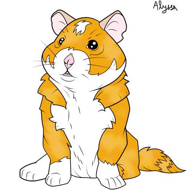 animals_59