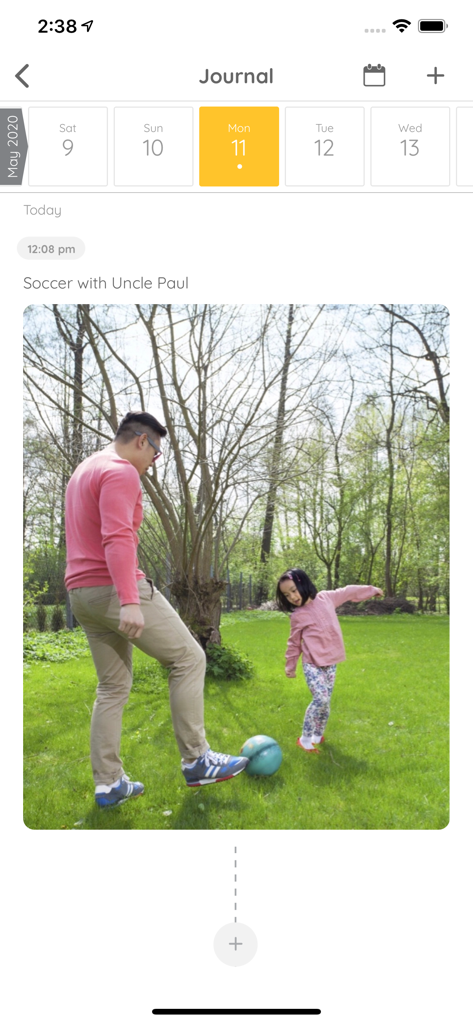 A screenshot of the Family Organizer app journal section showing a photo entry of a family member and child playing soccer.