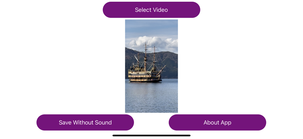 Mute Video Sound PRO - User interface of the Mute Video Sound PRO app showing a video preview and a button to save without sound
