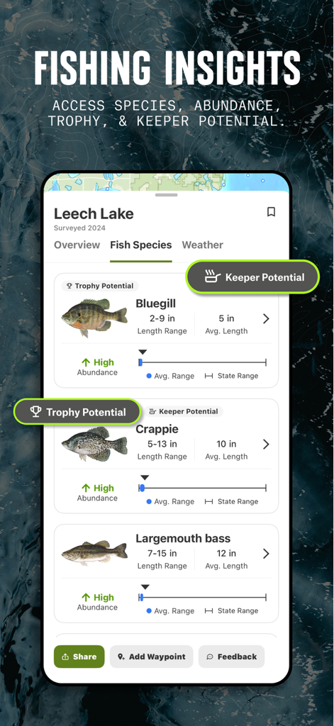 onX Fish: Midwest Lake Finder - A mobile app screen of onX Fish showing fish species abundance and trophy potential at Leech Lake.