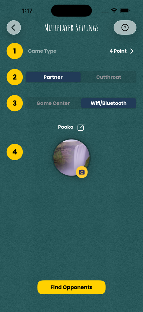 iPitch - Multiplayer settings screen for the iPitch card game showing game type selection and player profile options.